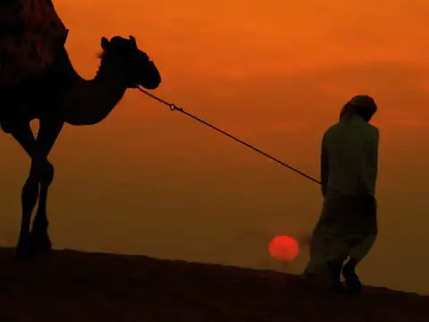 Sand crisis even for desert countries