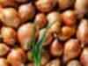 Rotting onions may push up prices