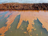 BP  Deepwater Horizon oil spill