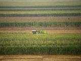 Punjab Cabinet approves crop loan waiver