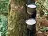 Rubber prices trade firm, up by Rs 5 per kg