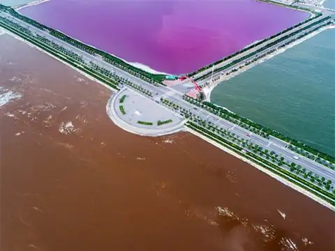 Think pink