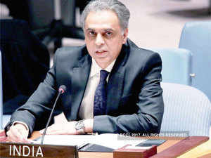 Use sanctions as weapon against terrorists in Afghanistan: Syed Akbaruddin