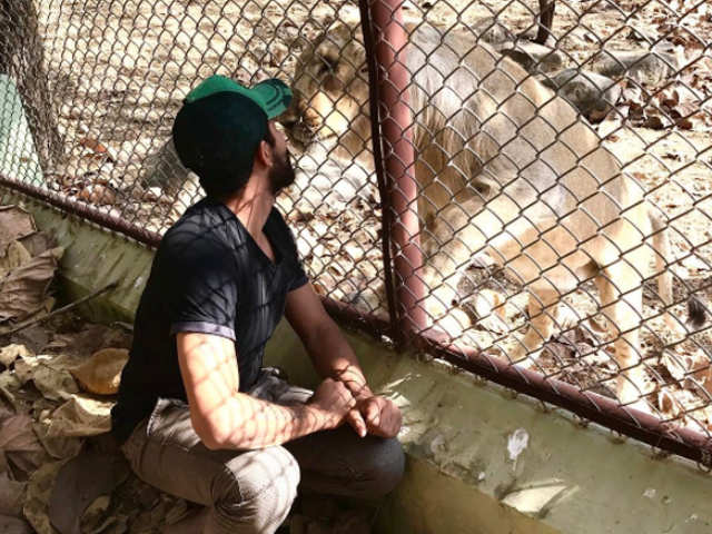 Ravindra Jadeja in Gir forest