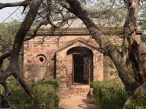 Delhi's fast disapperaing forests