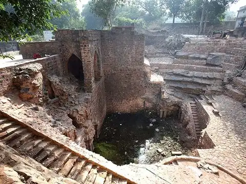 Delhi: Bird-rich capital
