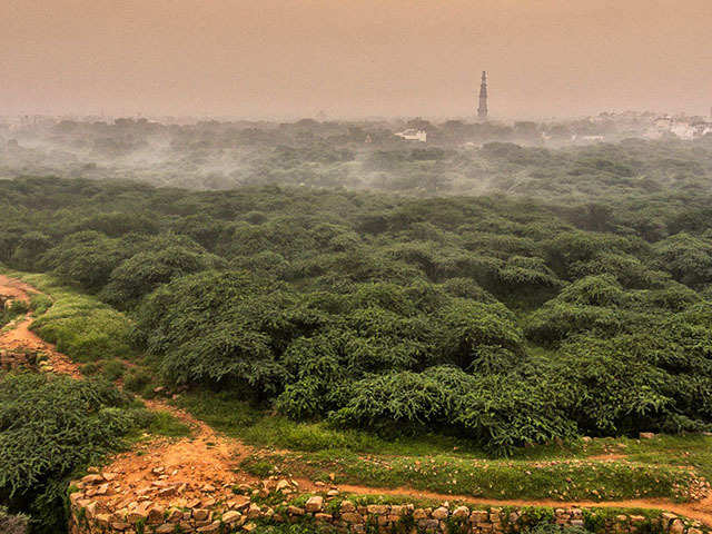The ridge, also known as Delhi's lung is under attack