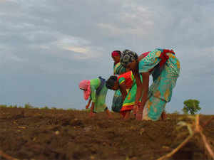 farmer-bccl