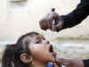 Novel patch can better deliver polio vaccines: Study