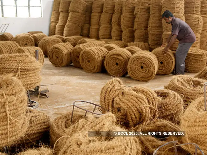 coir Kerala government to create and promote 'Kerala coir' brand The