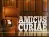 Amicus Curiae: IBC pros and cons