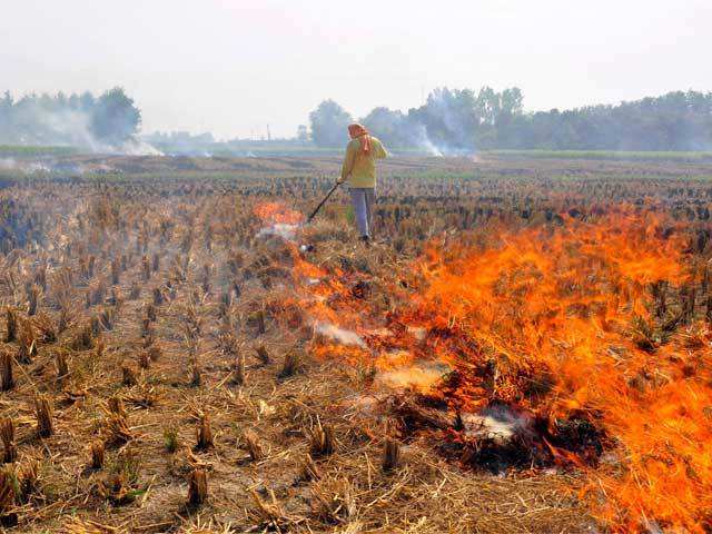 3. Burning of crop residue