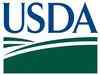 USDA report rally in corn and wheat prices