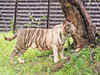 Delhi zoo aims for 'model zoo' status