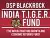 Mutual fund review: DSP Blackrock India T.I.G.E.R Fund