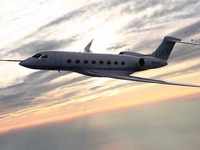 Bernard Arnault Sells Private Jet so People Won't Track Him