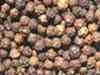 Pepper futures slightly down by 0.21per cent