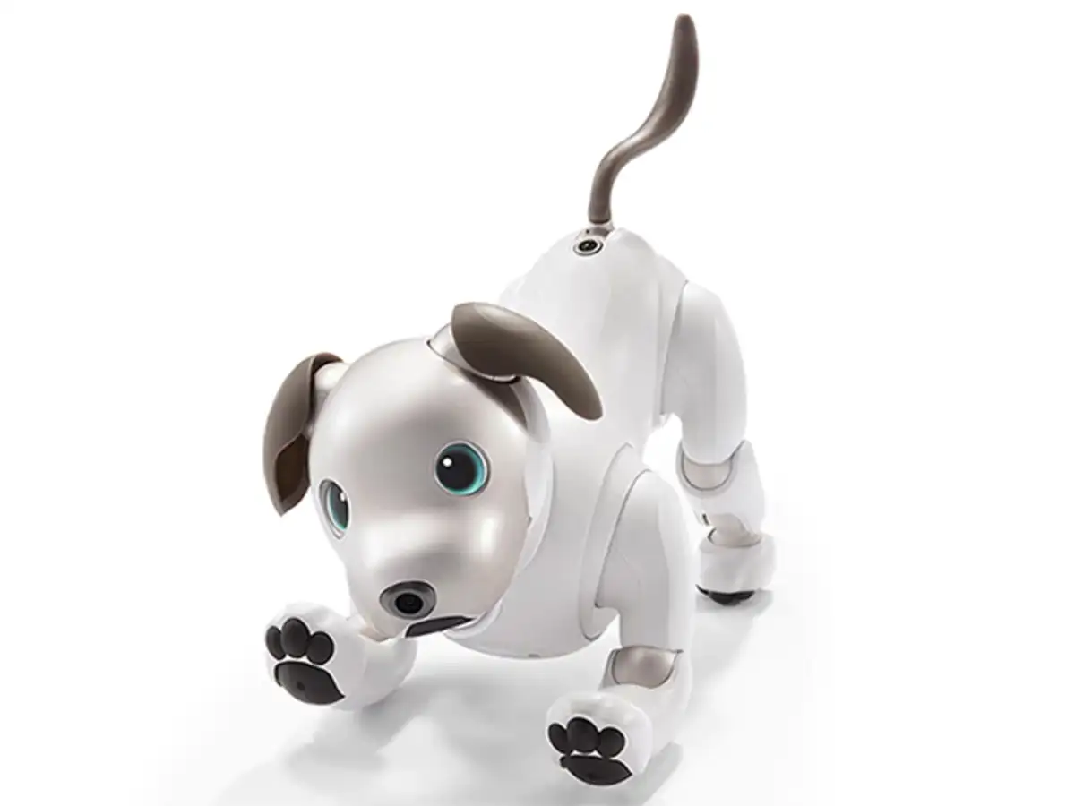 aibo robotkutya