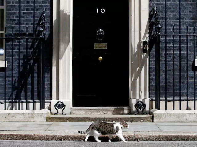 Theresa May's inherited cat, Larry