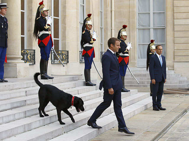 Emmanuel Macron and Nemo