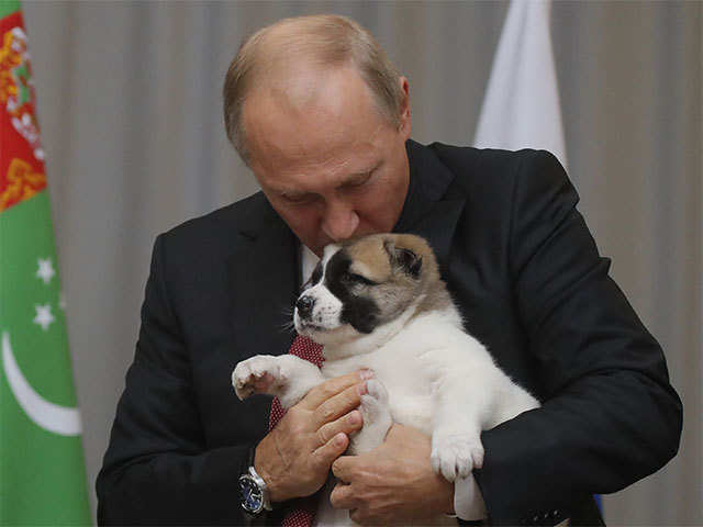 Putin the dog lover