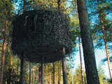 Treehotel in northern Sweden
