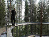 Treehotel in northern Sweden