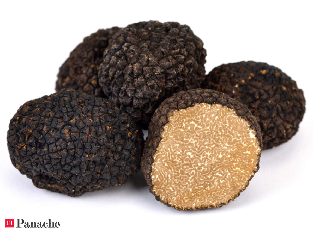 How long does it take for a truffle to grow Rare Black Truffle Grown In Uk For First Time Despite The Climate Change Threat The Economic Times