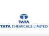 Tata Chemicals to sell Haldia fertiliser business for Rs 375 crore