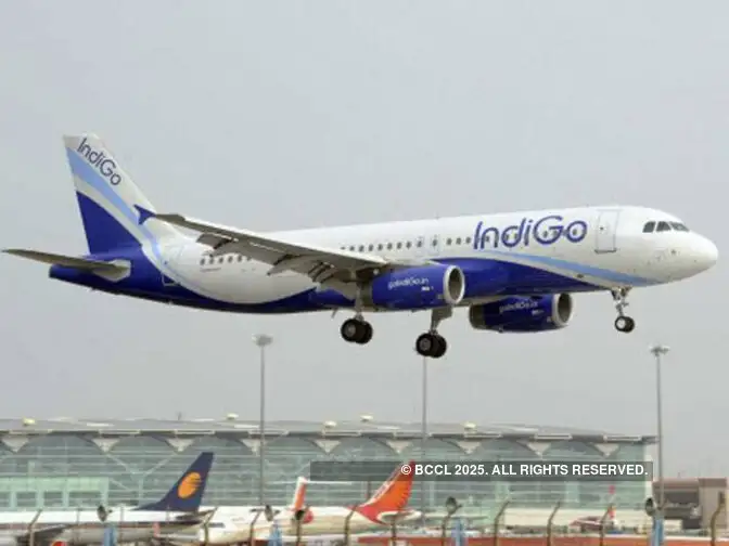 IndiGo roasted over manhandling incident; ministry demands immediate report