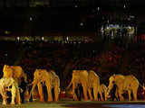 2010 FIFA football WC closing ceremony