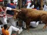 Running of the bulls of the San Fermin festival in Spain