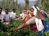 Assam minister demands shifting of Tea Board headquarters of Tea board from Kolkata to Guwahati