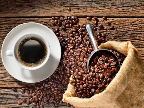 How many coffee cups to run a London bus per year?
