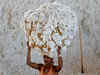Cotton traders to go strike against RCM under GST
