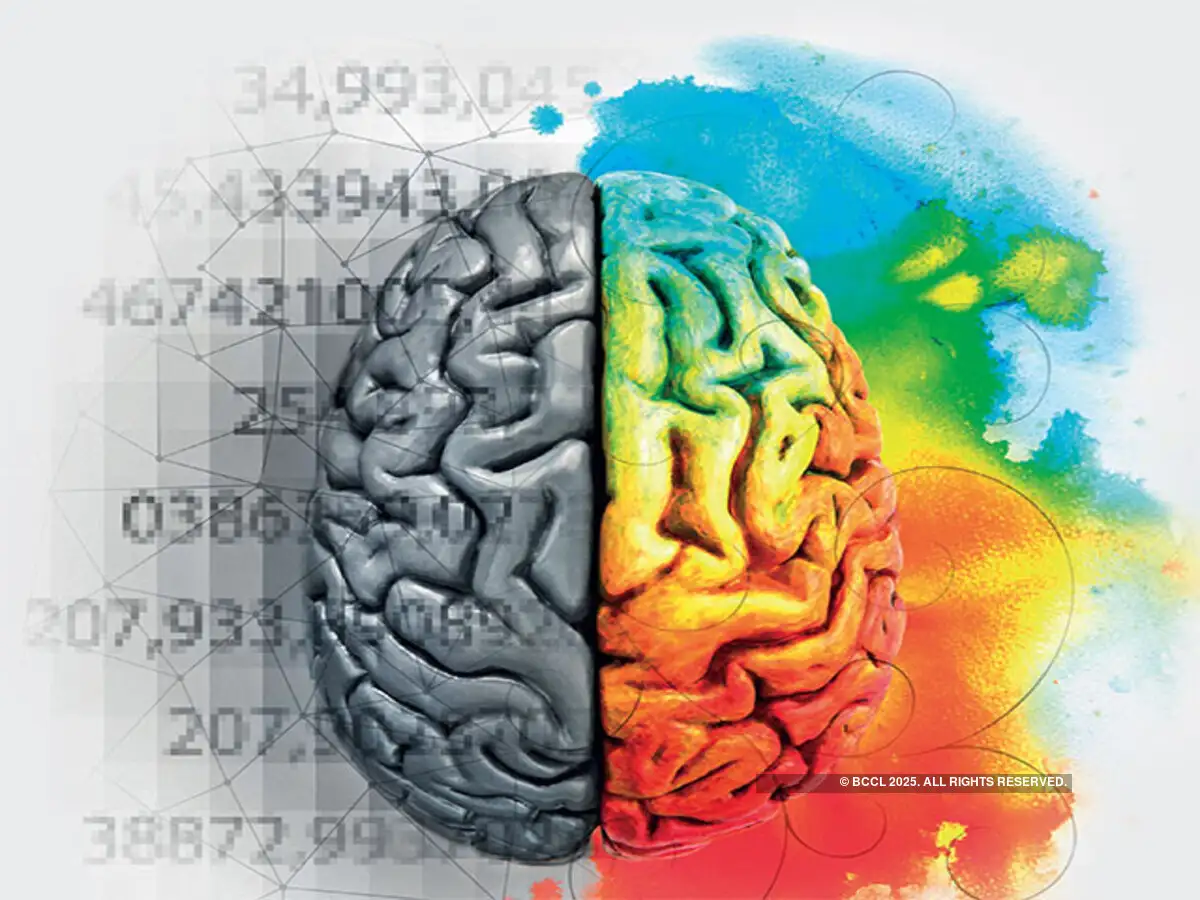 Block Diagram Of The Brain Activity Monitoring System