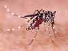 Shared latest data on dengue vaccine with authorities: Sanofi