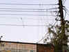 Police needs to do more to curb power theft: Delhi HC opines