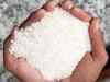 After Rosogolla, Bengal plans GI tags for Kalonunia, Randhunipagal rice