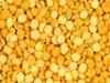 Agri commodity check: Chana prices firm up