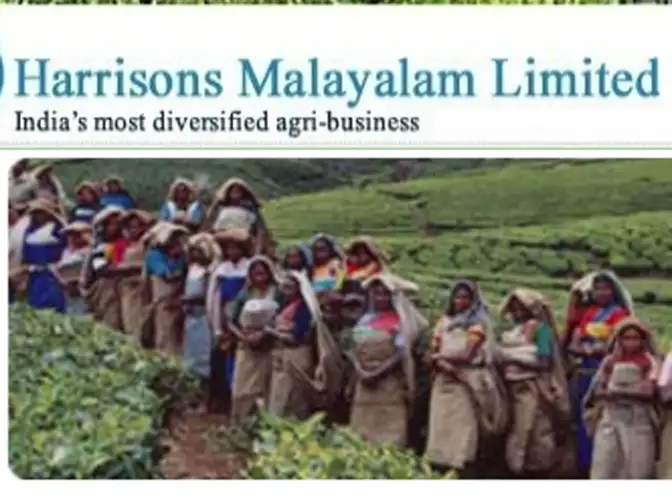 Kerala Ayurveda: Harrisons Malayalam to launch value-added ...
