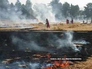 Stubble Burning