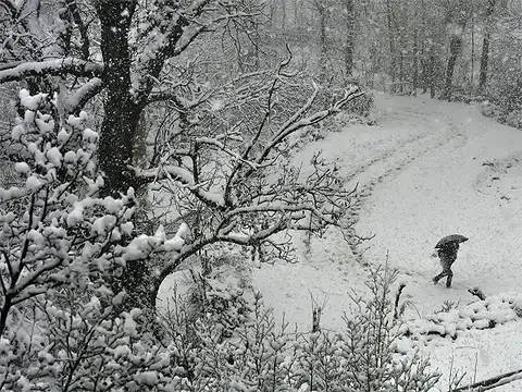 Snowfall at Tangmarg