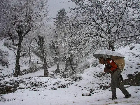 Elderly man carrying load