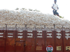 Cotton rises 2.5% on low output worries