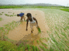 Time to look beyond loan waivers, farm sops