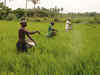 Farm loan waiver not a solution: Brijmohan Agrawal, Chhattisgarh agriculture minister