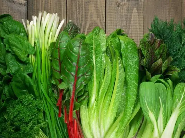 Eating Green Vegetables Can Help Prevent Dementia Eating Green Vegetables Can Help Prevent Dementia