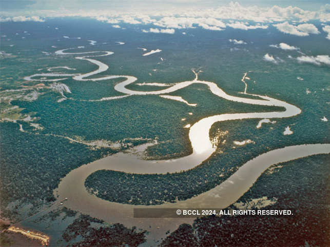 Image result for "amazon river" peru commons