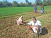 Farmers in Rajasthan wait for a loan waiver